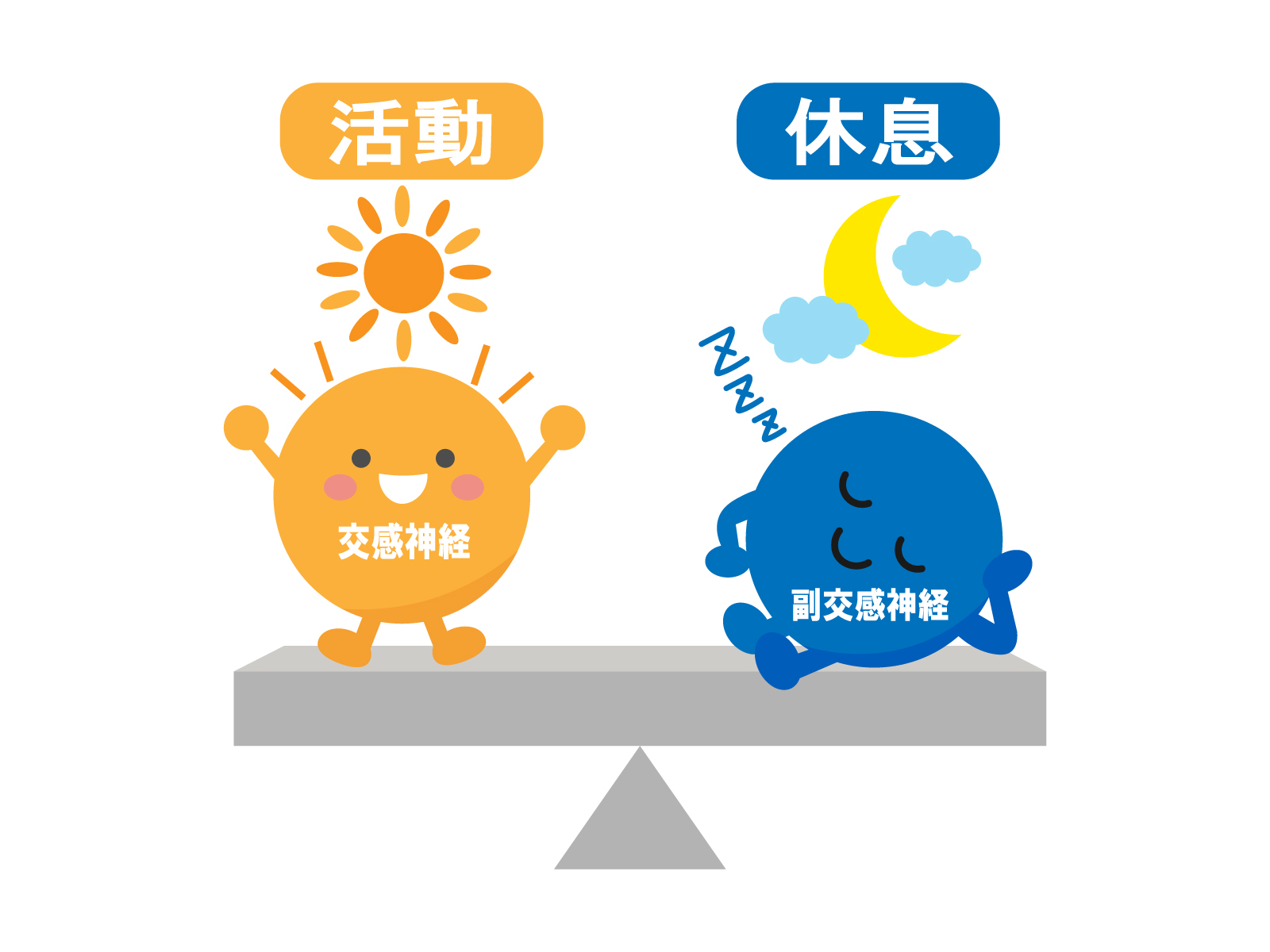 交感神経と副交感神経のはたらきの違いを示した図