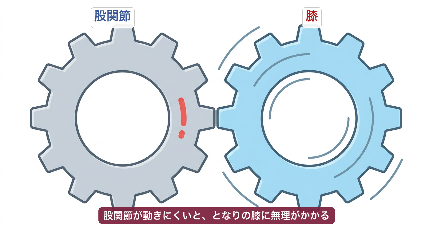 股関節が動きにくいと膝に負担がかかることを歯車で表した図