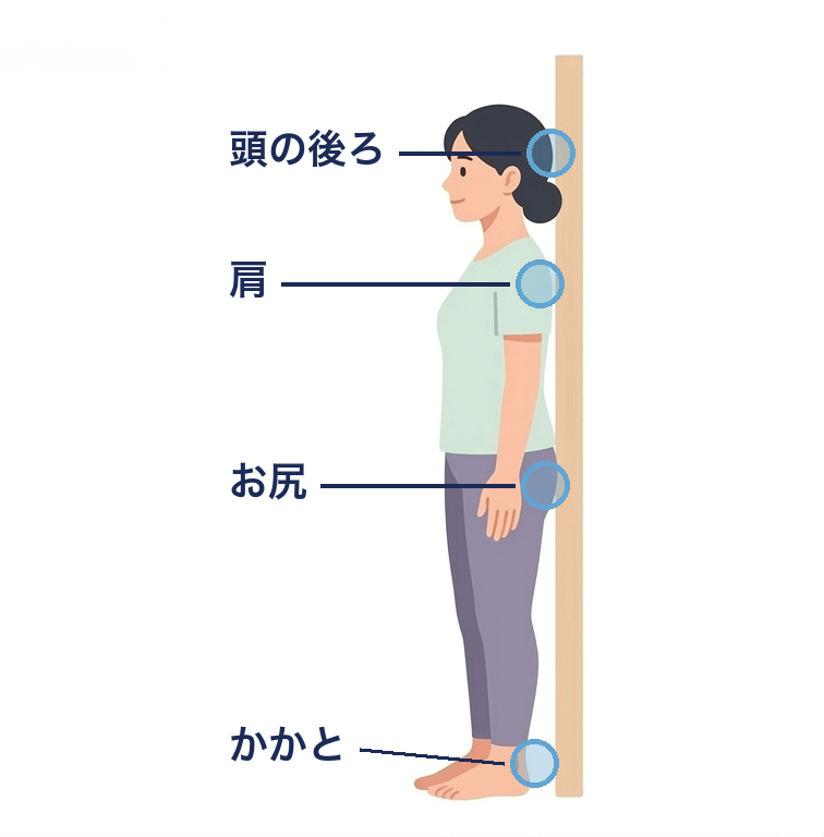 壁を背にして立つ反り腰セルフチェックのイラスト